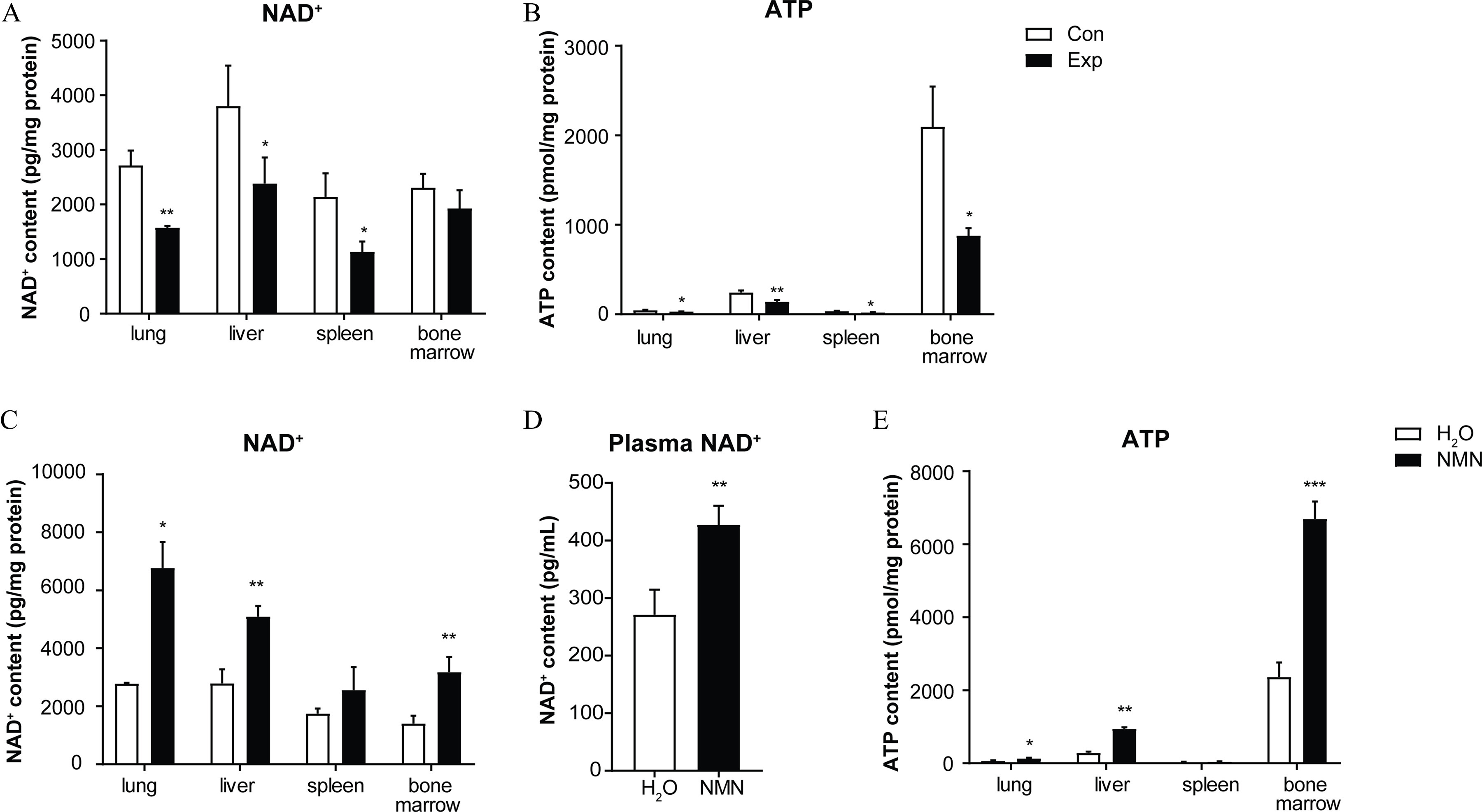 Figure 2A, 2B, 2C, and 2E are bar graphs titled nicotinamide adenine dinucleotide, A T P, nicotinamide adenine dinucleotide, A T P, plotting nicotinamide adenine dinucleotide content (picograms per milligram protein), ranging from 0 to 5,000 in increments of 1,000; A T P content (picomoles per milligram protein), ranging from 0 to 3,000 in increments of 1,000; nicotinamide adenine dinucleotide content (picograms per milligram protein), ranging from 0 to 10,000 in increments of 2,000; A T P content (picomoles per milligram protein), ranging from 0 to 8,000 in increments of 2,000 (y-axis) across lung, liver, spleen, and bone marrow (x-axis) for air-filtered control group and PM exposure group; air-filtered control group and PM exposure group; and water and nicotinamide mononucleotide, respectively. Figure 2D is a bar graph titled plasma nicotinamide adenine dinucleotide, plotting nicotinamide adenine dinucleotide content (picograms per milliliter), ranging from 0 to 500 in increments of 100 (y-axis) across water and nicotinamide mononucleotide.