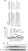 FIG. 9.