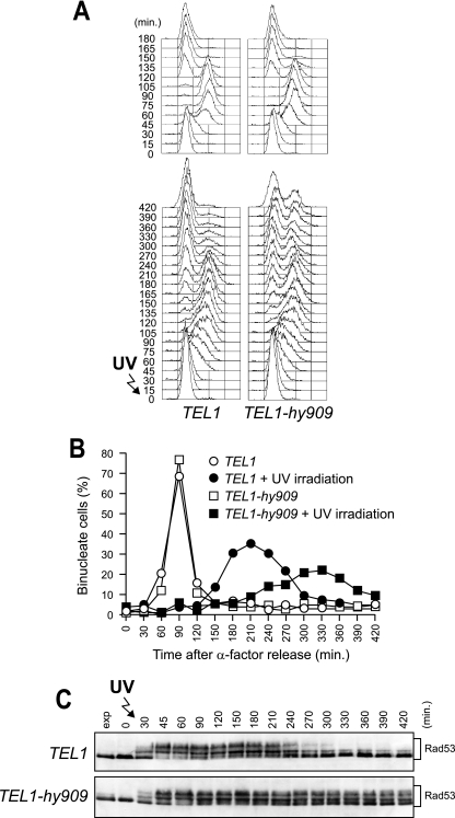 FIG. 9.