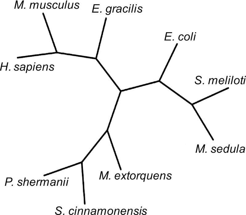 Fig 5