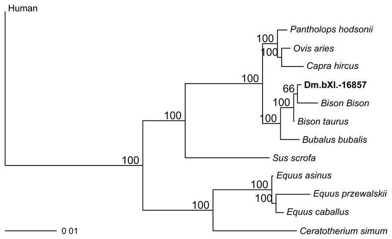 Extended Data Figure 6