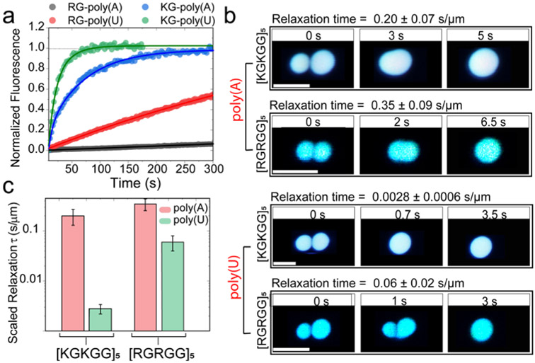 Figure 4: