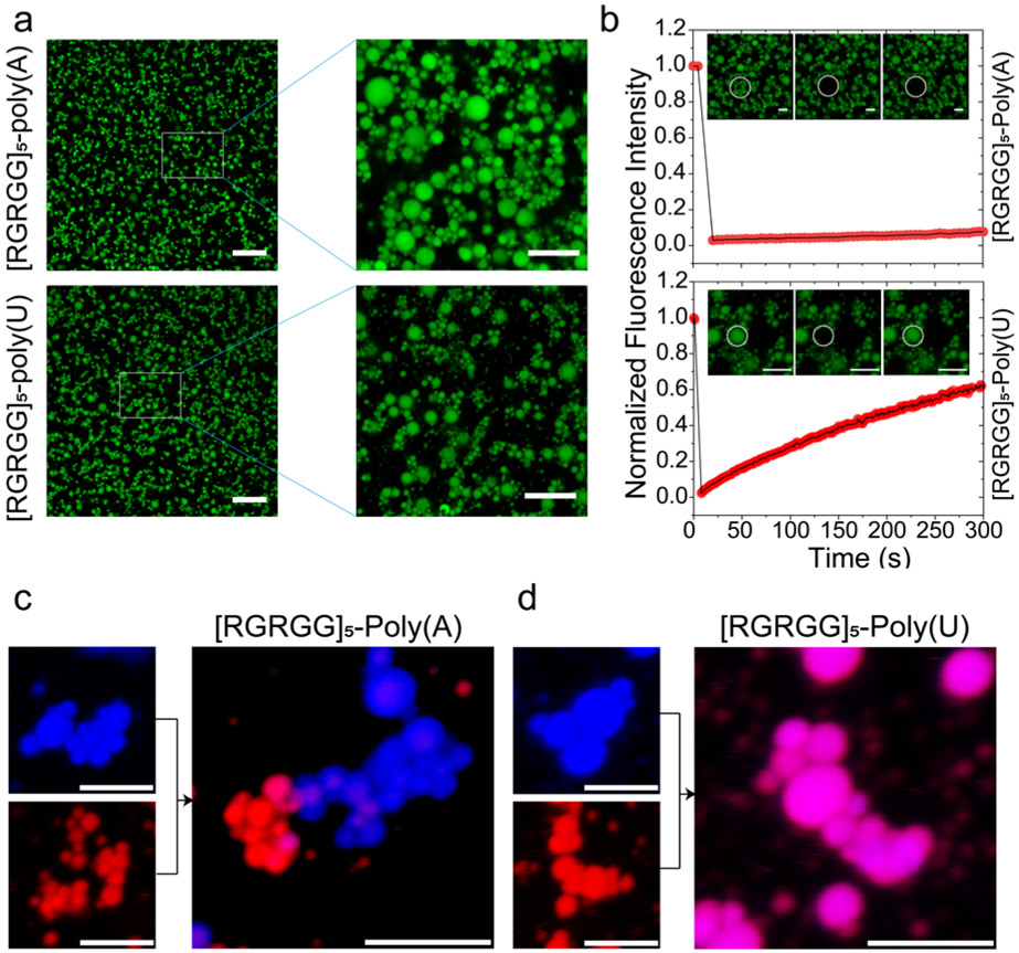 Figure 6: