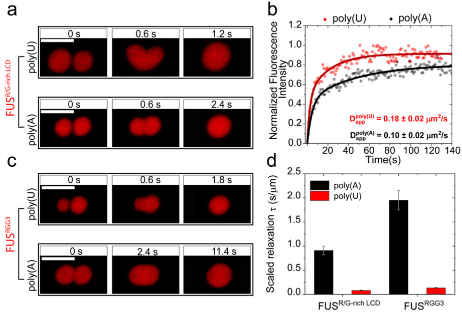 Figure 5: