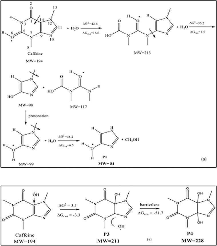 Fig. 10