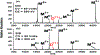 Figure 25:
