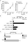 FIG. 6