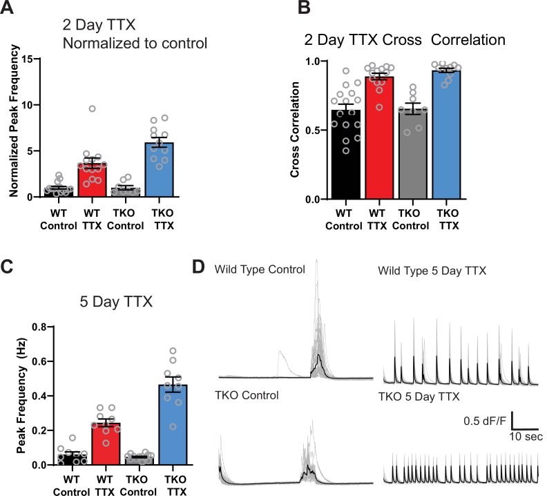 Figure 2—figure supplement 1.