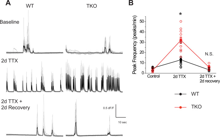 Figure 2—figure supplement 2.