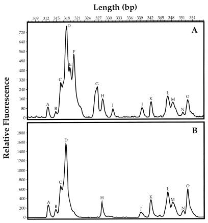 FIG. 6