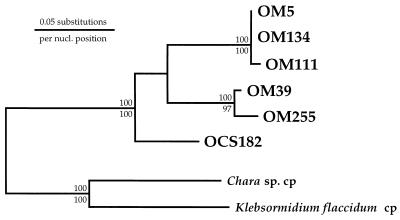 FIG. 5