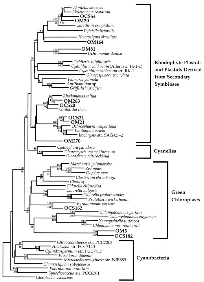 FIG. 1