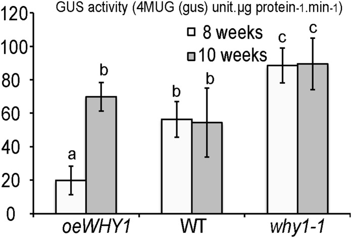 Figure 7.