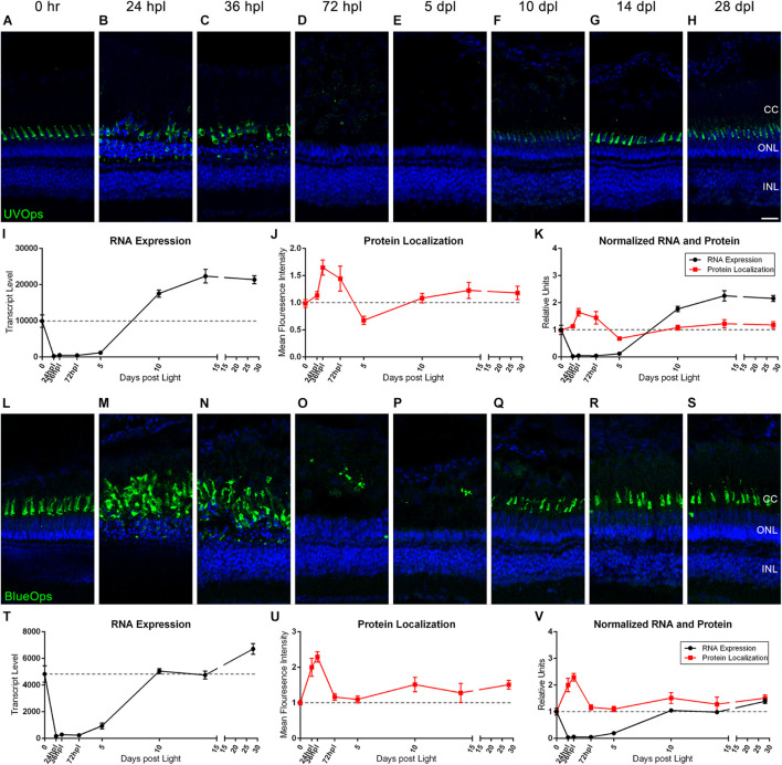 FIGURE 3