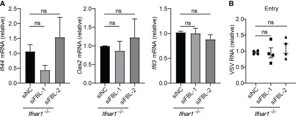 Figure 5