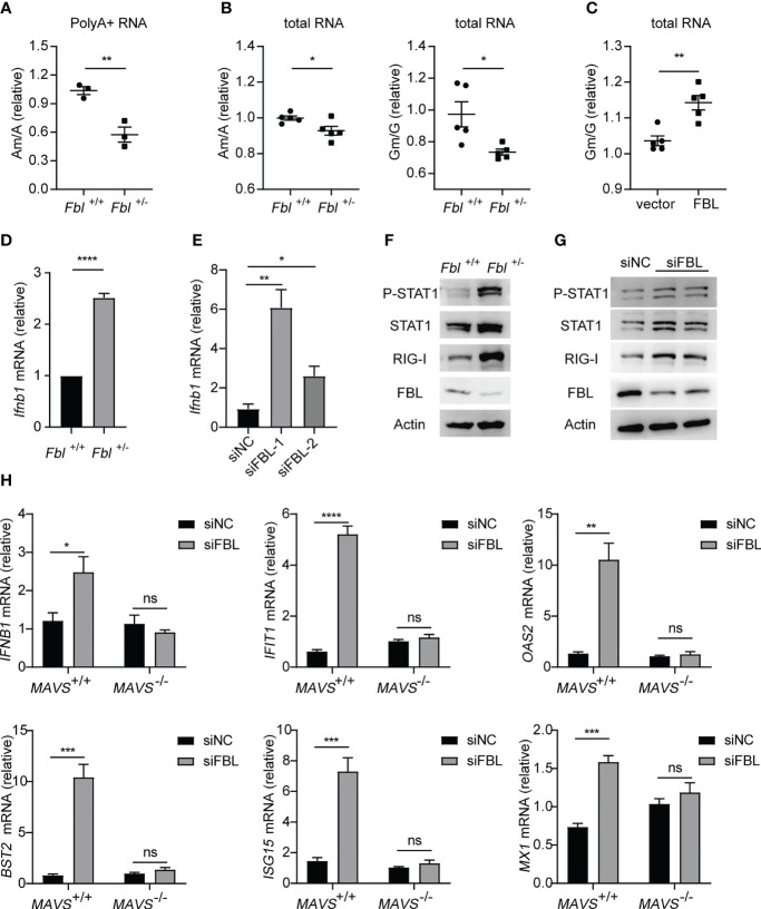 Figure 6