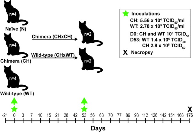 Fig. 4