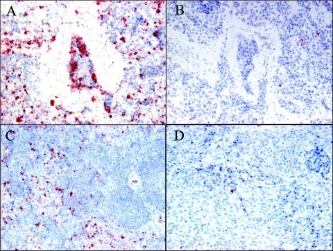 FIG. 7.