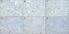 FIG. 8.