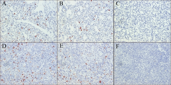 FIG. 8.