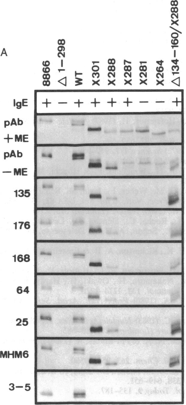 graphic file with name pnas00285-0300-a.jpg