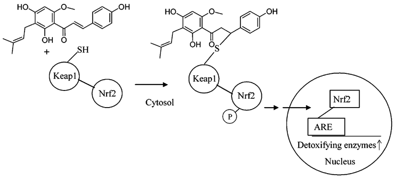 Scheme 2.