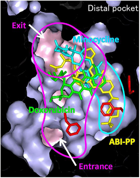 FIGURE 11