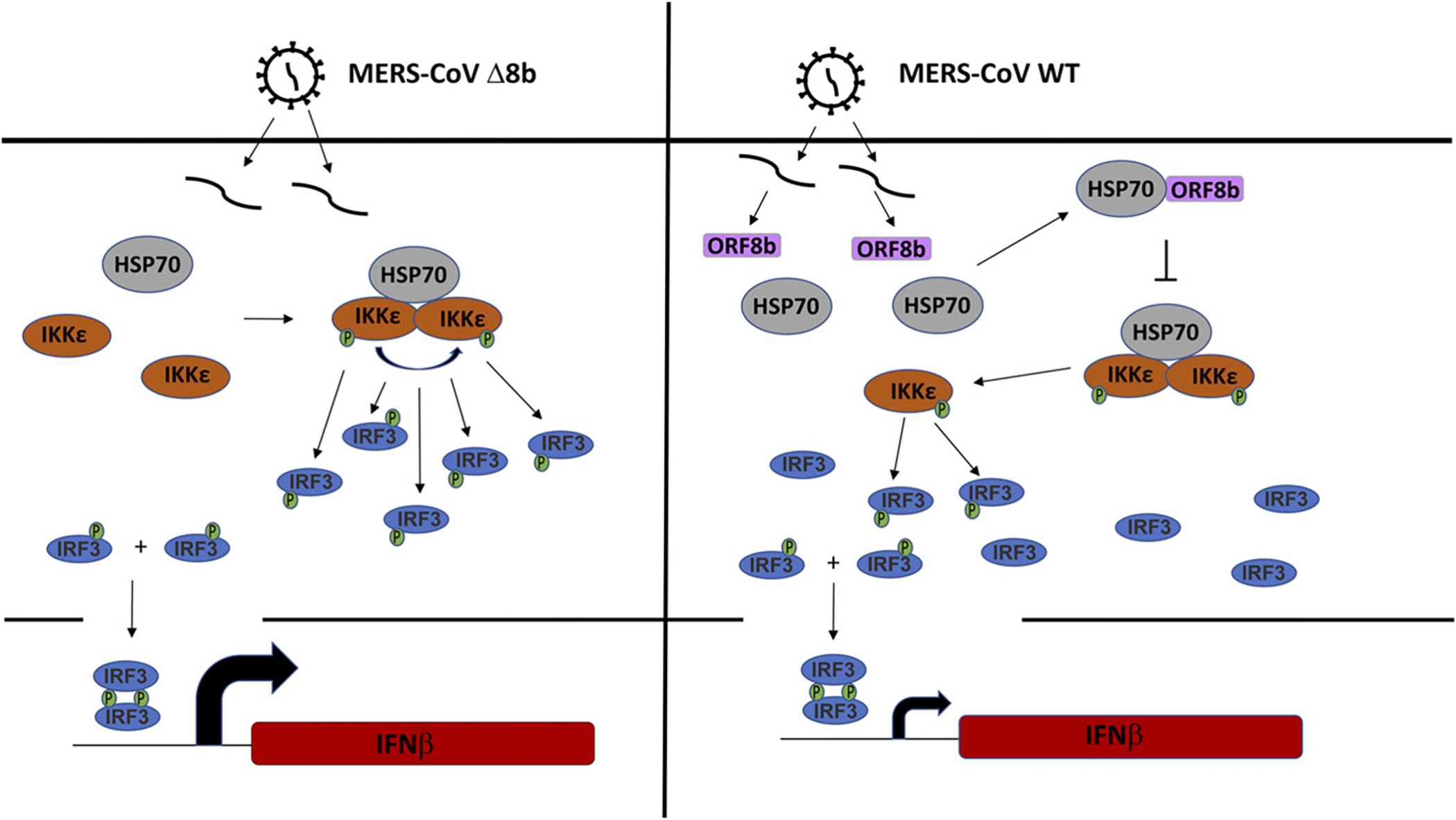 FIGURE 10.