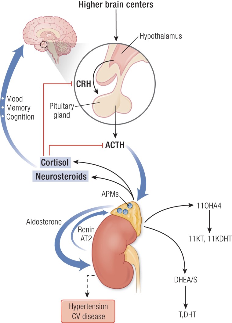 Figure 2.