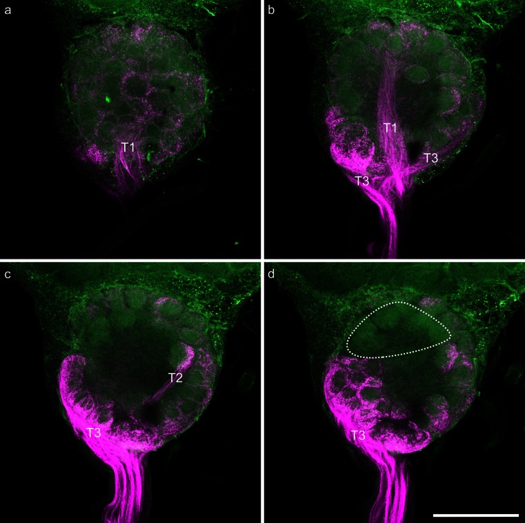 Fig. 3