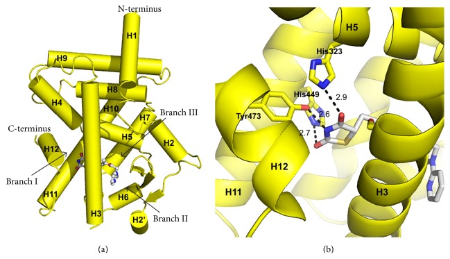 Figure 2