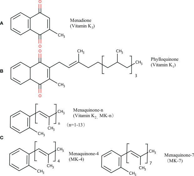Figure 1