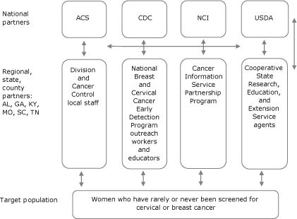 Process chart This figure depicts the structural framework of the Team Up partnership. National partners are listed horizontally across the top: American Cancer Society (ACS), Centers for Disease Control and Prevention (CDC), the National Cancer Institute (NCI), and the United States Department of Agriculture (USDA). In the next row, state and county partners from Alabama, Georgia, Kentucky, Missouri, South Carolina, and Tennessee appear at the left. The row consists of the Division of Cancer Control local staff (under ACS), the National Breast and Cervical Cancer Early Detection Program outreach workers and educators (under CDC), the Cancer Information Service Partnership Program (under NCI), and the Cooperative State Research, Education, and Extension Service agents (under USDA). The final row, headed target population, consists of women who have rarely or never been screened for cervical or breast cancer. Horizontal and vertical arrows indicate reciprocal relationship between all partners.