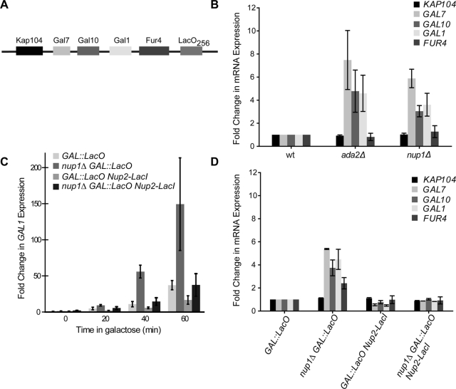 FIGURE 3: