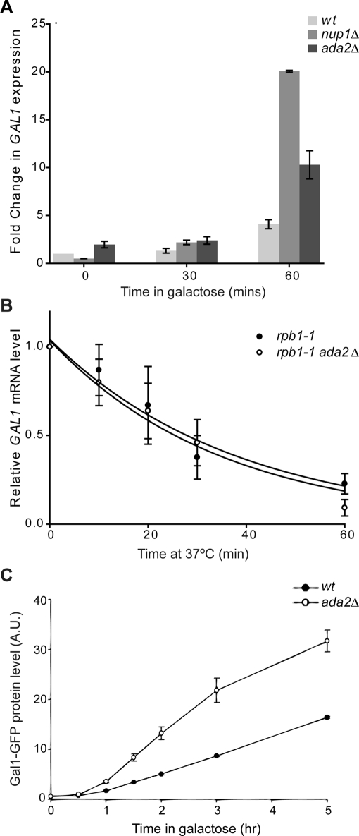 FIGURE 2: