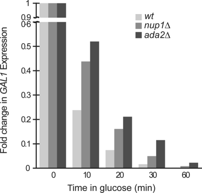 FIGURE 4: