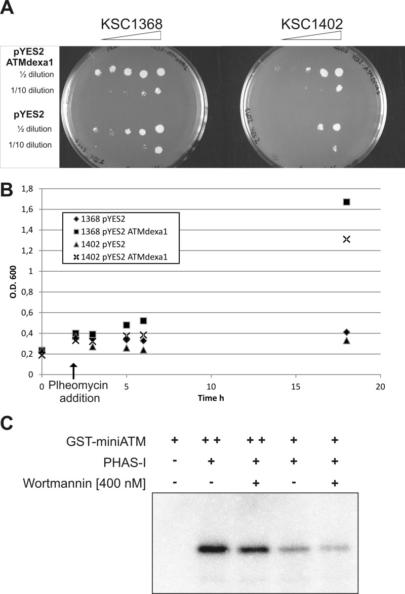 FIGURE 6.