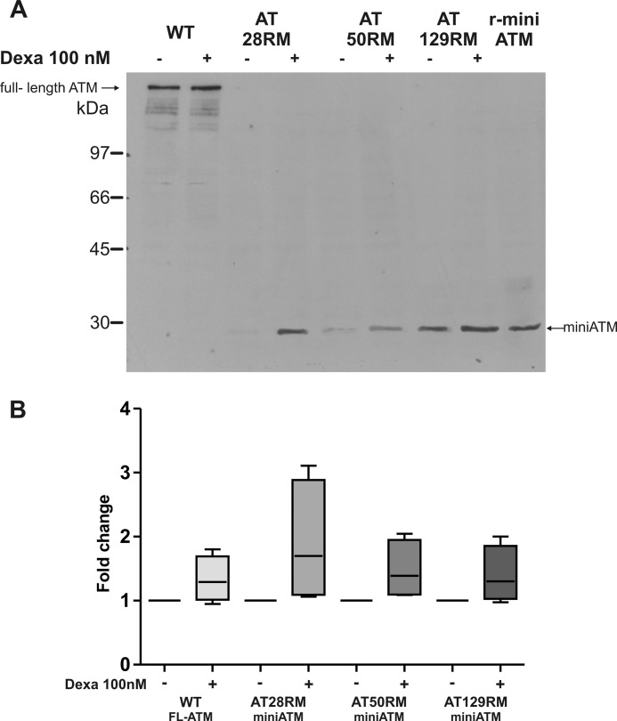 FIGURE 7.