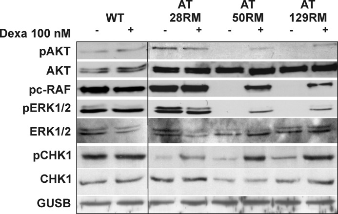 FIGURE 11.