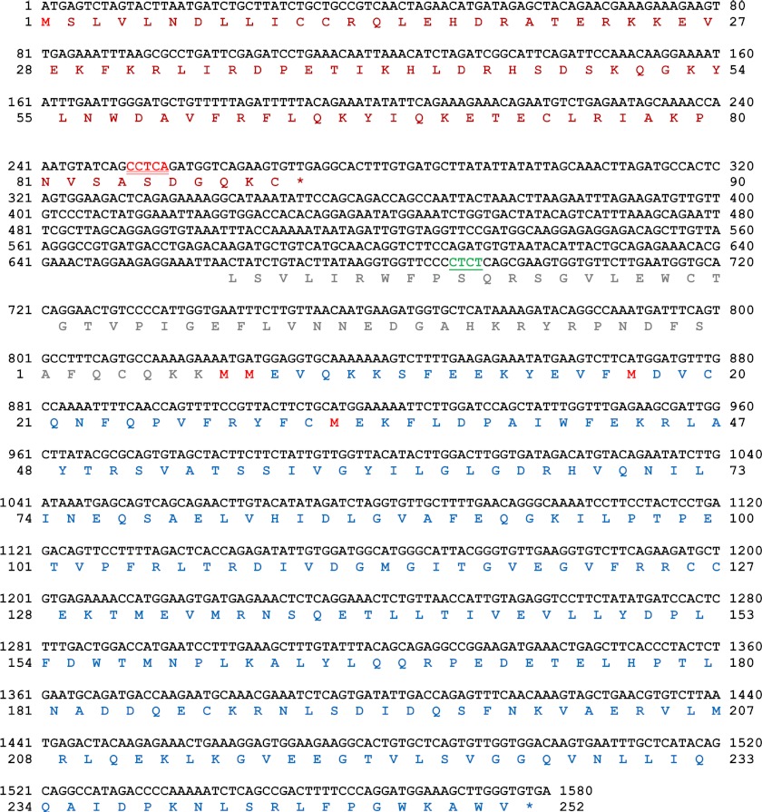 FIGURE 4.