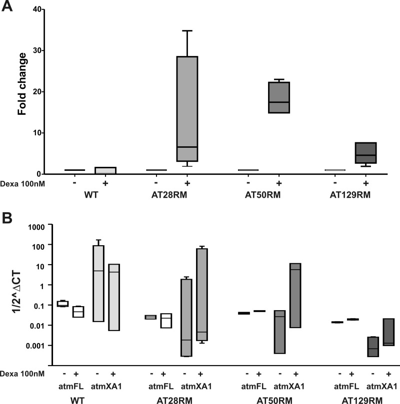 FIGURE 3.