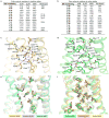 Extended Data Figure 8