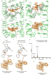 Extended Data Figure 4