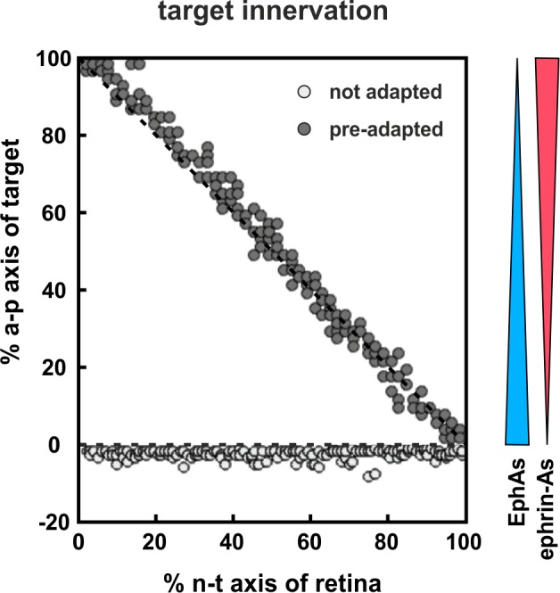 Figure 10.