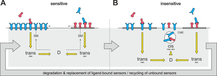 Figure 11.