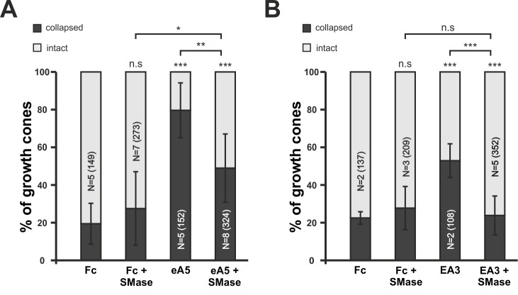 Figure 9—figure supplement 1.