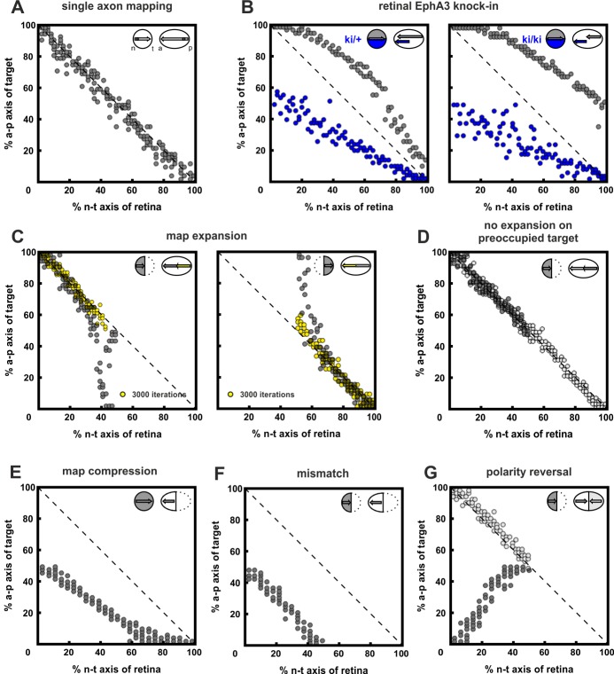 Figure 4—figure supplement 1.