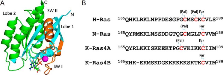 Figure 1.