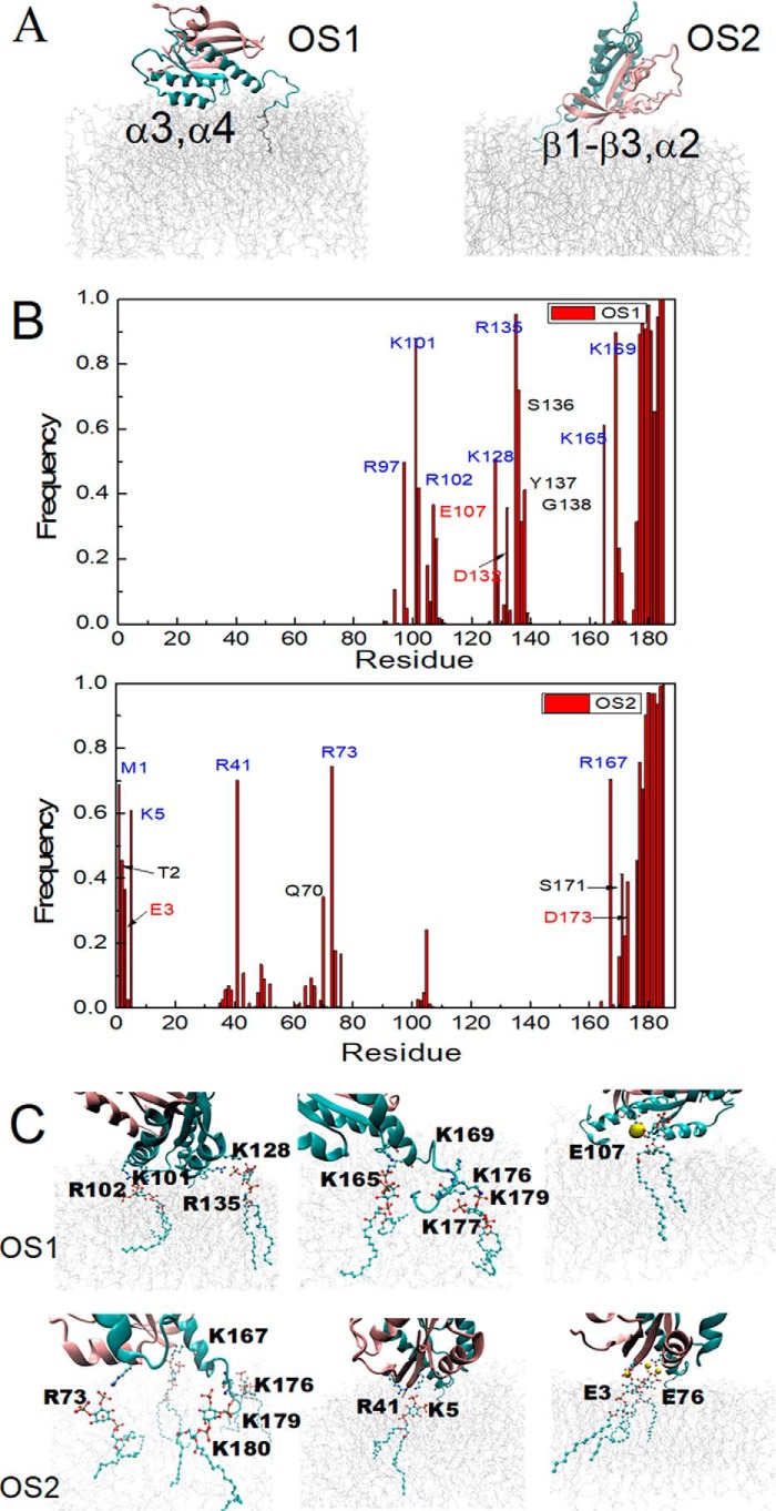 Figure 6.