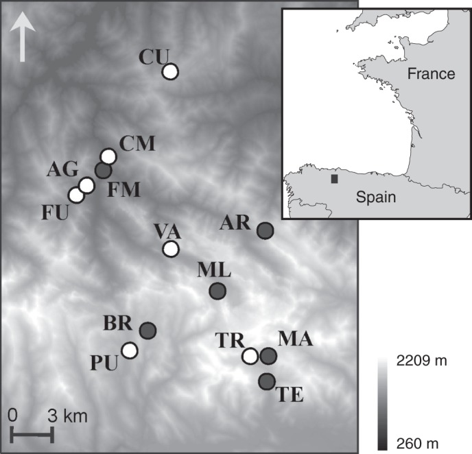 Fig. 1.